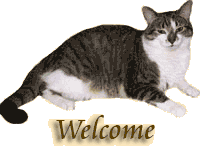 Cat E Korner